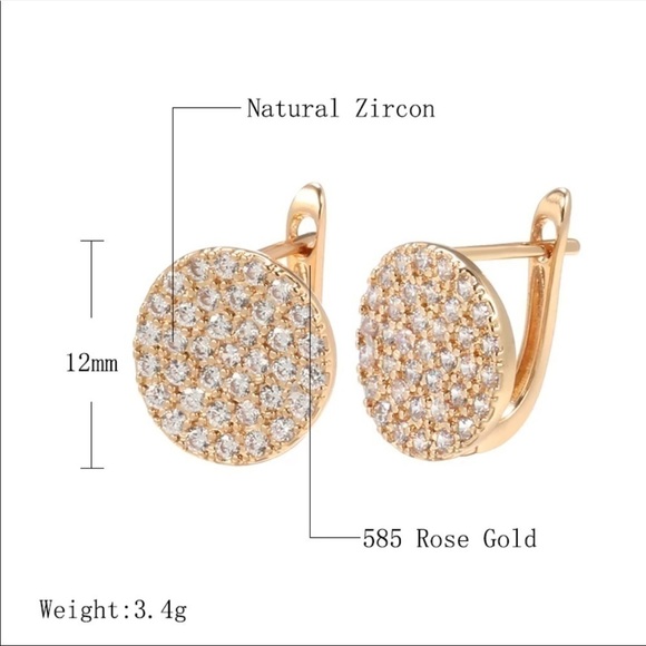 Rose Gold Full Micro Pave Round Earrings - Picture 5 of 9